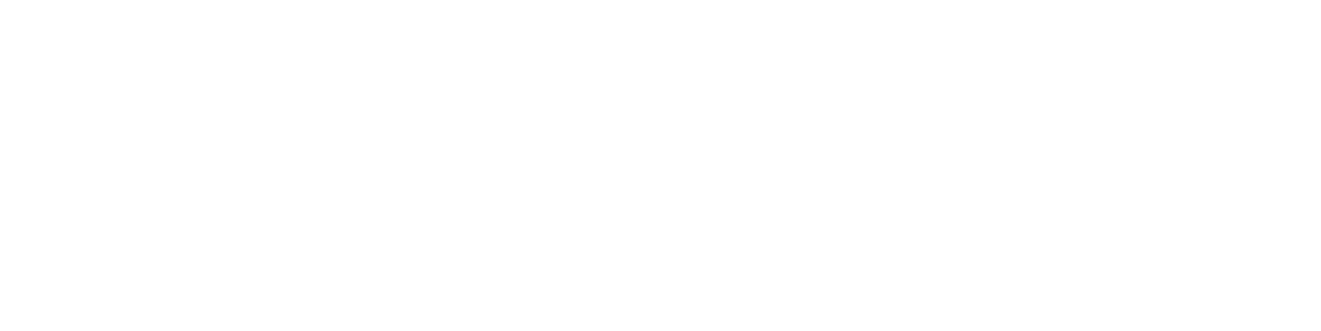 logo LIFT PILE® white